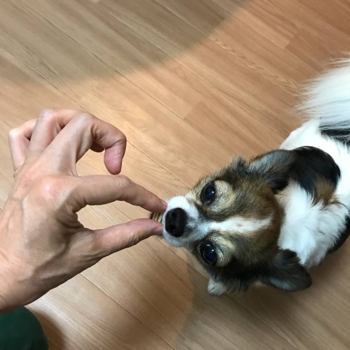 0b5dcb5f 9b4b 4b15 8280 b3bb4a2376d7 1532267024733