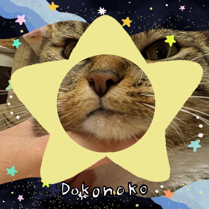 0b5e0dc1 cd7e 45e5 9965 d22006f4e08c 1720797300878