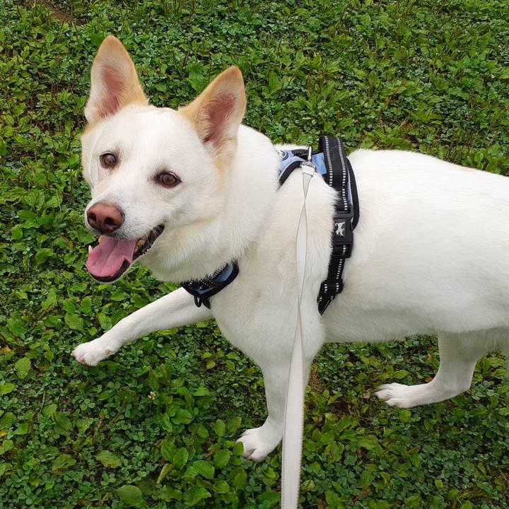 0b5e2308 2399 452a af84 b44f40fea078 1655511926415