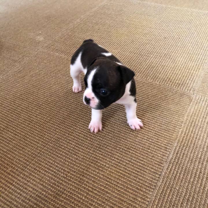 0b5e4f7b 1a32 4829 b49b 23f735a926a6 1592446091790