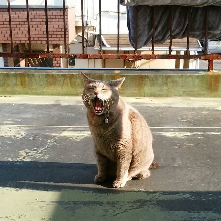 0b5ed1e5 cc51 47f7 9638 48a26cc64a76 1521269689434