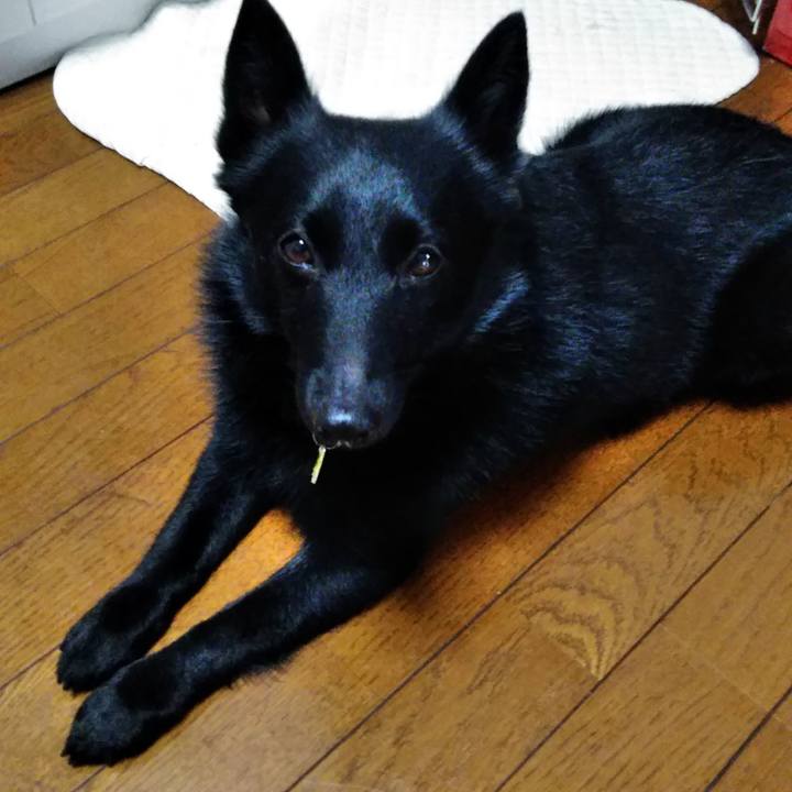 0b5f2505 b736 4edf 987d b17985439520 1558754360555