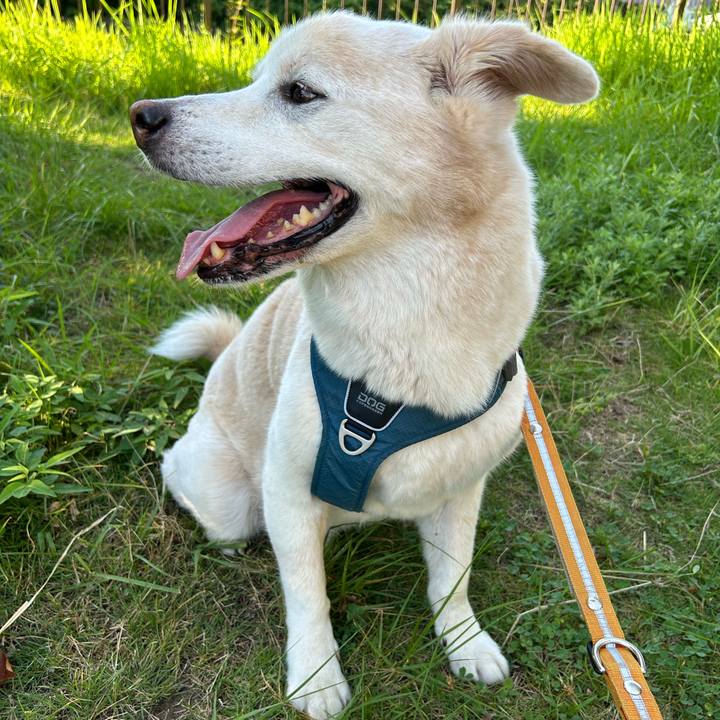 0b5f5c15 e4b3 4a2c 841f eeb3ba7be64c 1753753856127