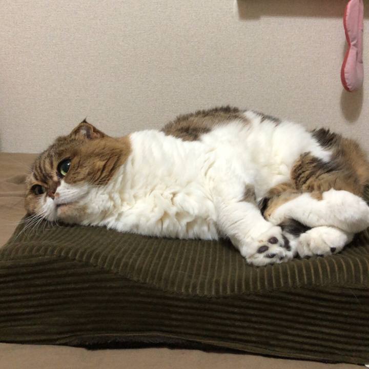 0b5f5eec 5b05 42fa ba14 bbd108e4a955 1542469943086