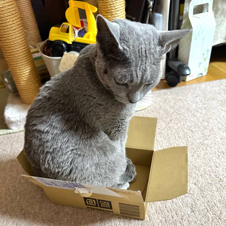 0b5fa861 612c 4833 9586 d7a333c98f7d 1773994587274