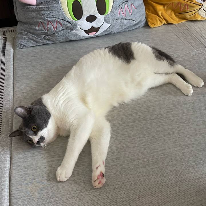 0b5fc456 0c40 4955 b0dd f5bab5583c2e 1751345509226