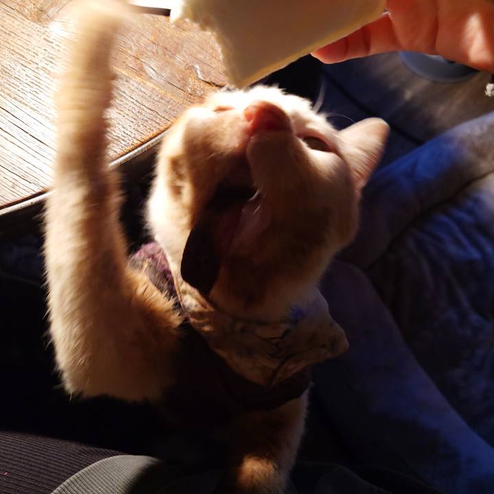 0b604b88 c5b4 4b7b 9c3a d72357d5ff2f 1773217366503