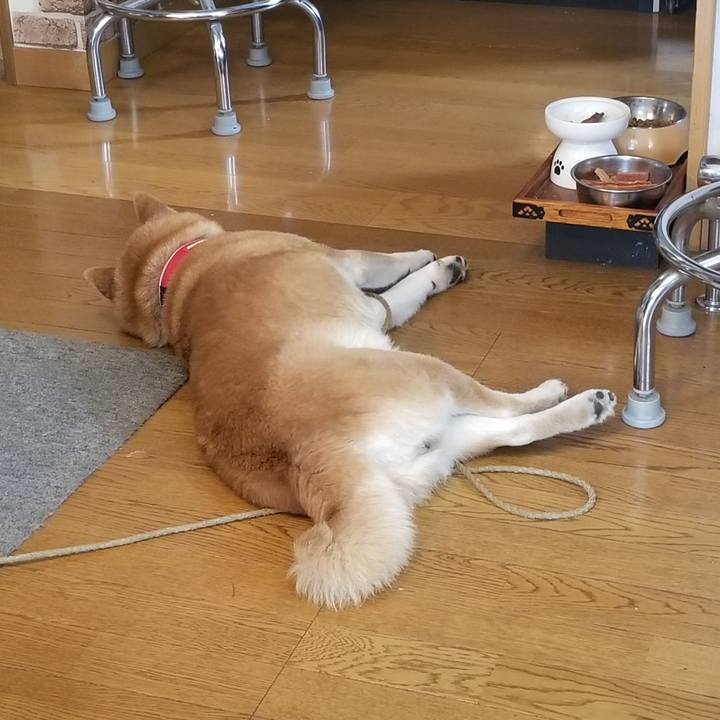 0b60746a 8a67 4aeb ba21 86b08c3815cb 1709943725241