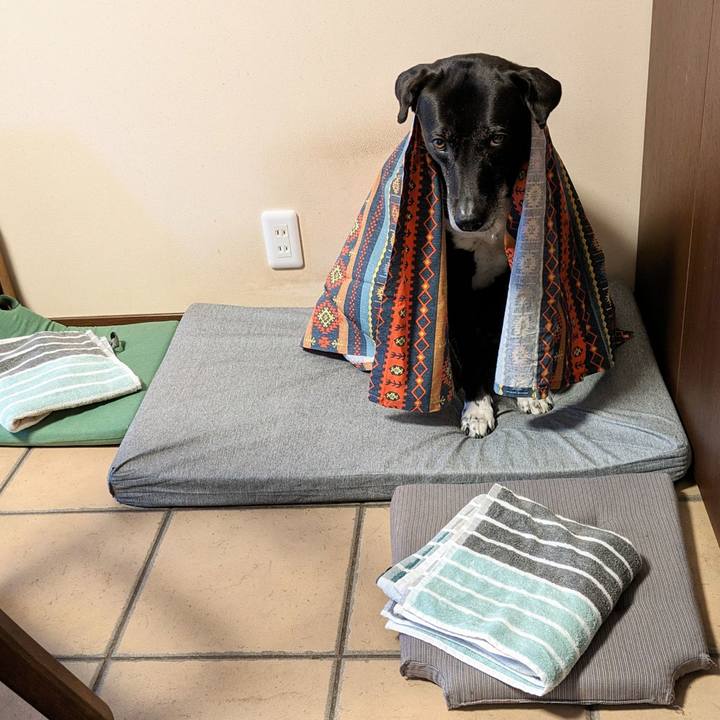 0b609d42 39f4 42c6 b7a7 54adeb95b732 1711796349859