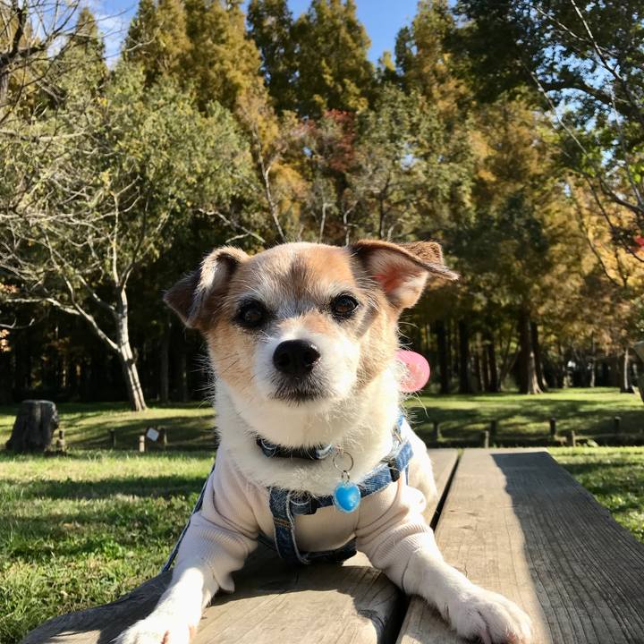 0b60ab32 7d03 47c3 b3fc 088e49b894db 1636861807040