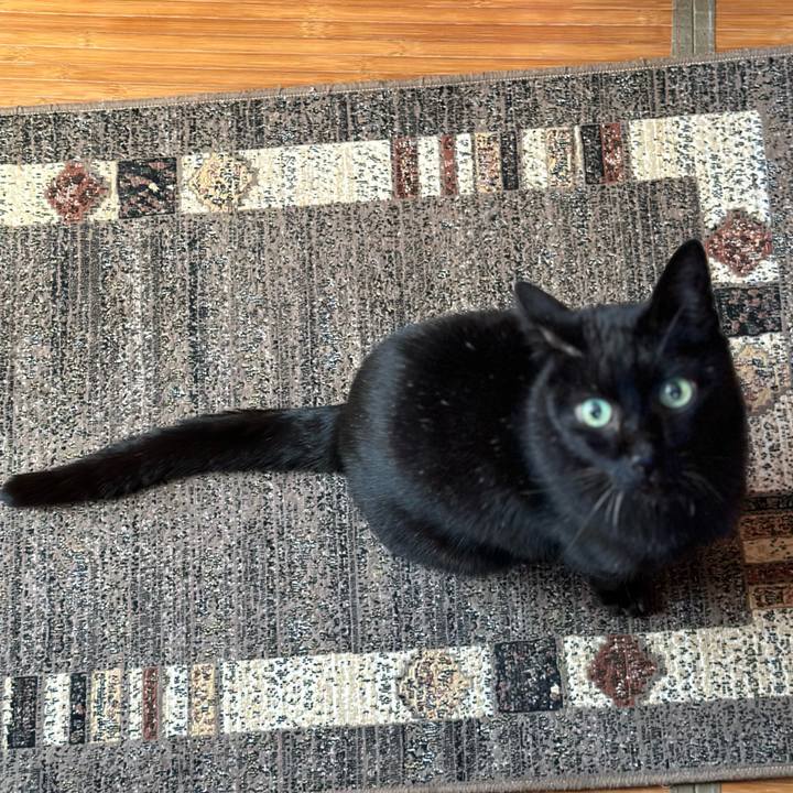 0b60b3ed de92 4eed 877f 1c7282ea0d25 1698887701685