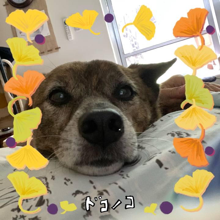 0b60b768 a0fb 470b a98a d3a9246316c7 1730335022551