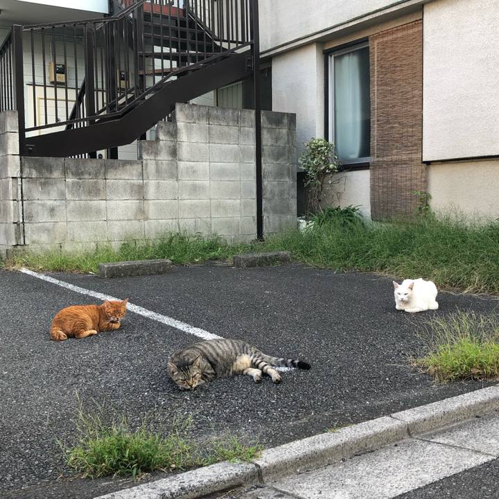 0b60b981 d277 453b a349 0f4c75a8f353 1570456119316