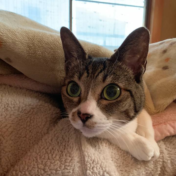 0b60bd80 d108 4435 b41b d2e89c7e1c85 1546133639564