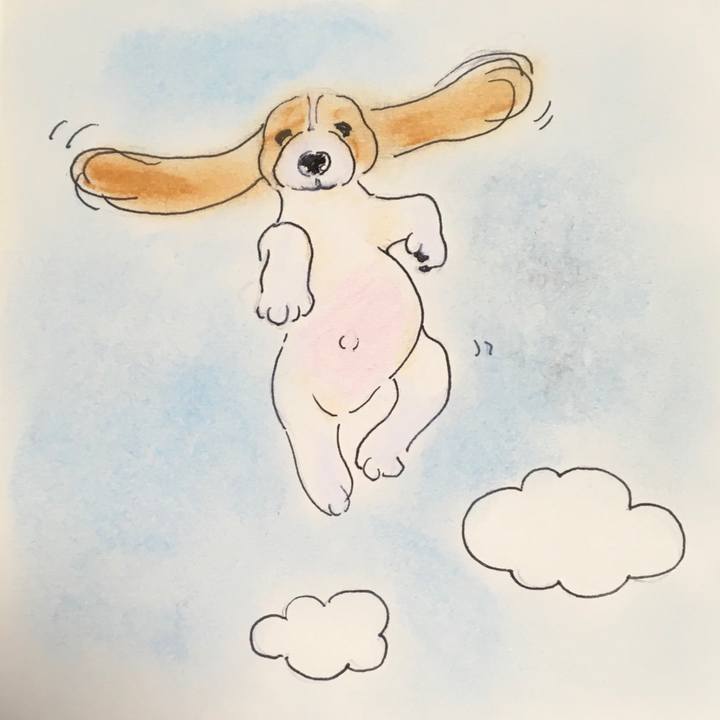 0b60e9d7 3746 4338 a93a 3767df5ee1ea 1588939673775