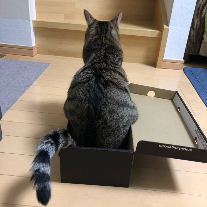 0b60f488 8093 4e2b b0e7 0b0ac5f91cf0 1534796412017