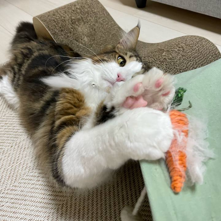 0b60f8c6 4529 4dc4 8c44 e330f895f3aa 1647548838798