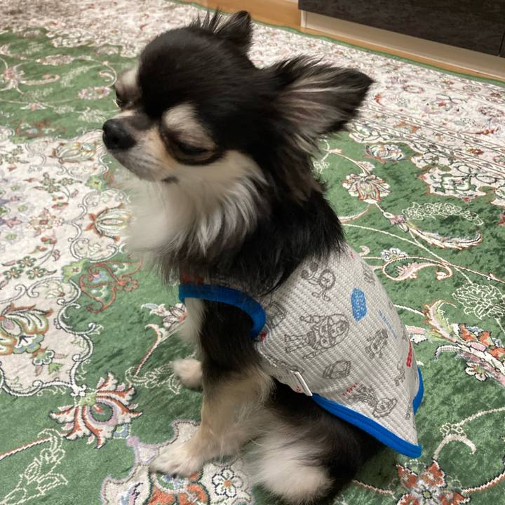 0b60ffbf 9f72 414a b8bc 1d40a5fa367d 1655558954376