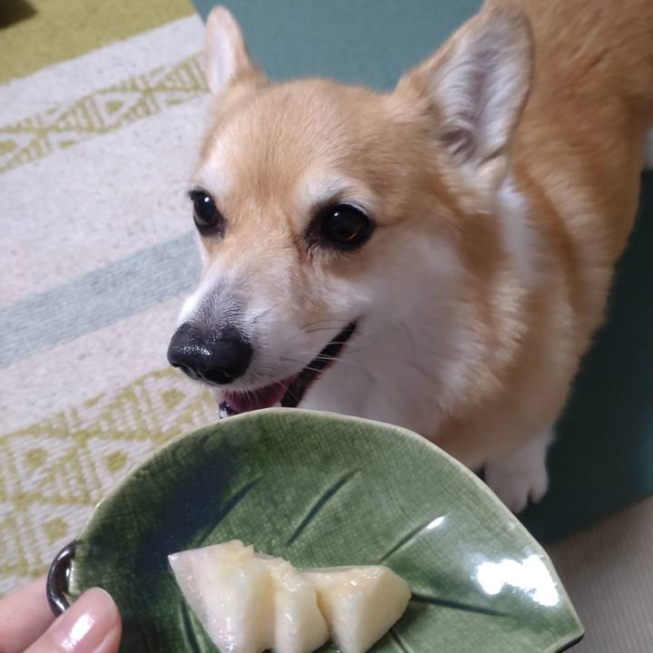 0b6111eb e39a 419d be04 359cd0f4fbcf 1689516665348