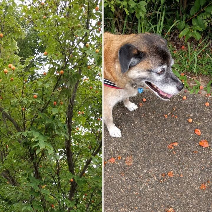 0b61b37b 9b22 4a1e b3cf ae860fa8321e 1535584772475