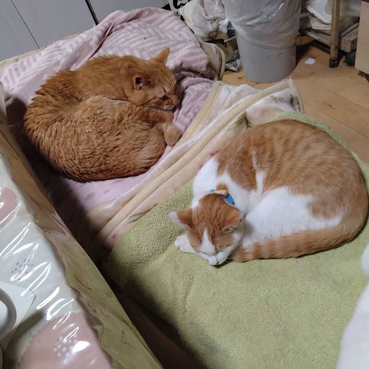 0b61b53a a2e5 4566 b31a 75b7c18f7285 1733734971633