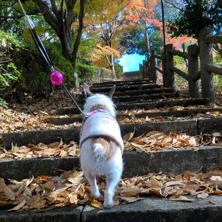 0b61bfc6 98f9 4e2a 91de 4bd517f8e8b6 1733786486218