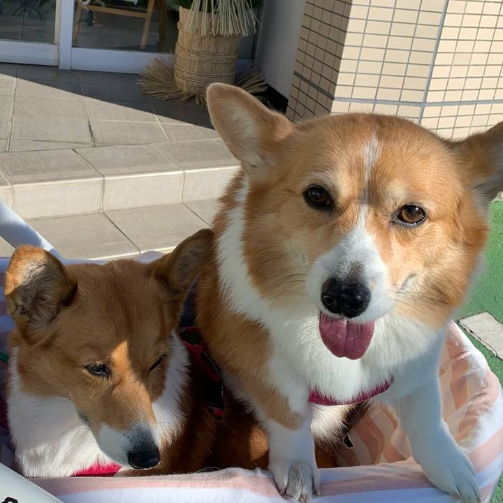 0b621973 24bf 44d5 88b4 d6ae86e584c9 1672892134180