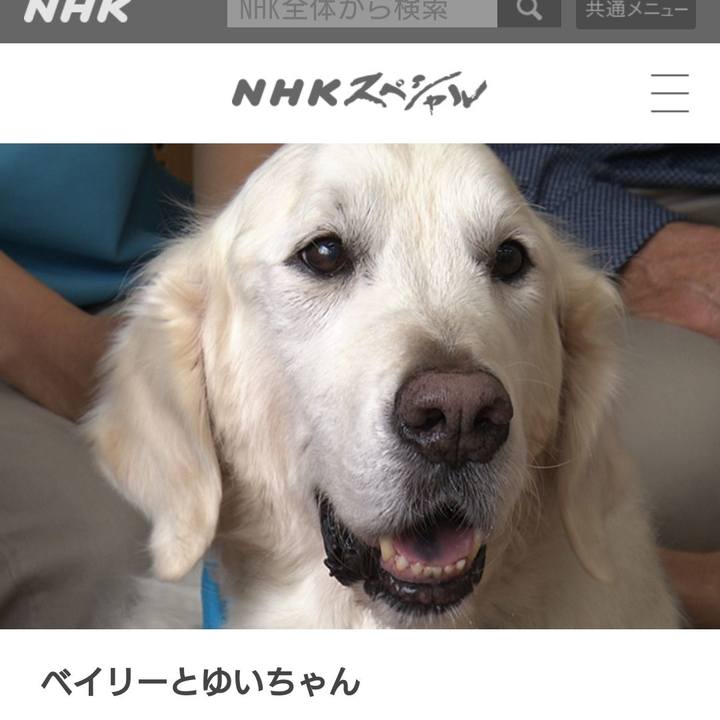 0b621b6f 7415 49f5 80ad 327d1306a40c 1548412421857