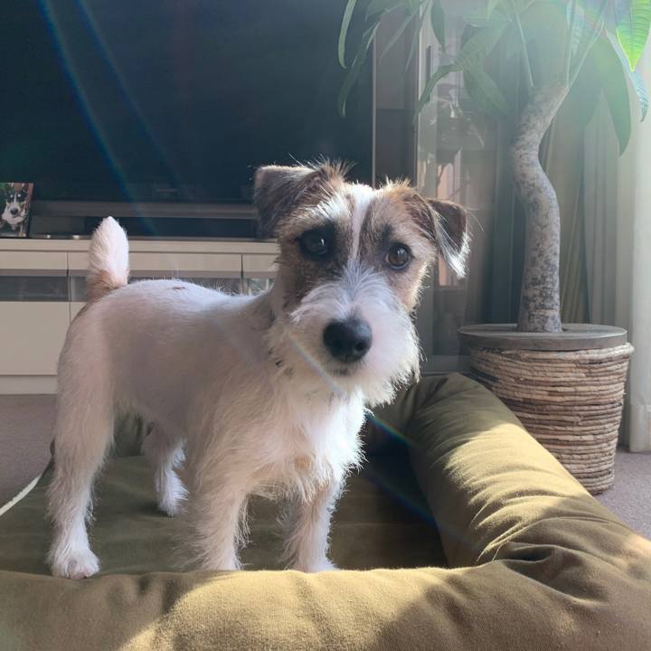 0b62326d fdf4 4f81 90bb 6aef0a9b06eb 1572483281413