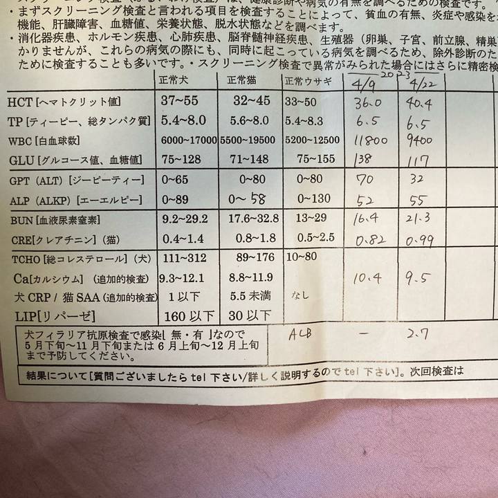 0b623496 7554 44a5 a461 1b7211c81bd9 1682578589336