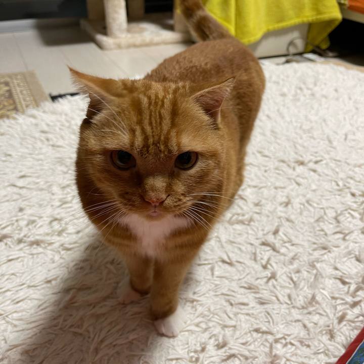 0b62452e 4d43 447d b41c a6a065fe2c0a 1663155385846