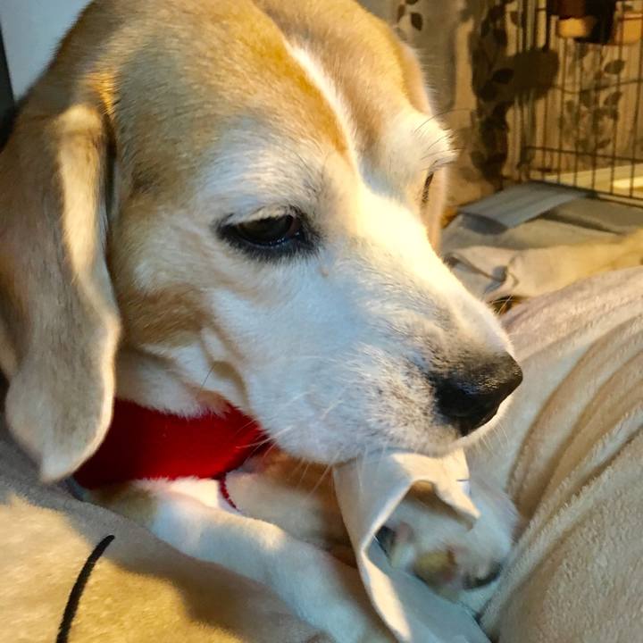 0b6248f3 a25b 4028 bcd6 d085754a6c0d 1542981305017