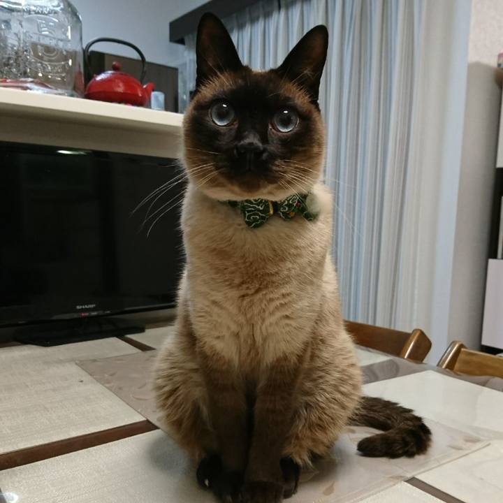 0b6278a9 2dce 4e31 8ae9 12b208a2cbae 1521933853646