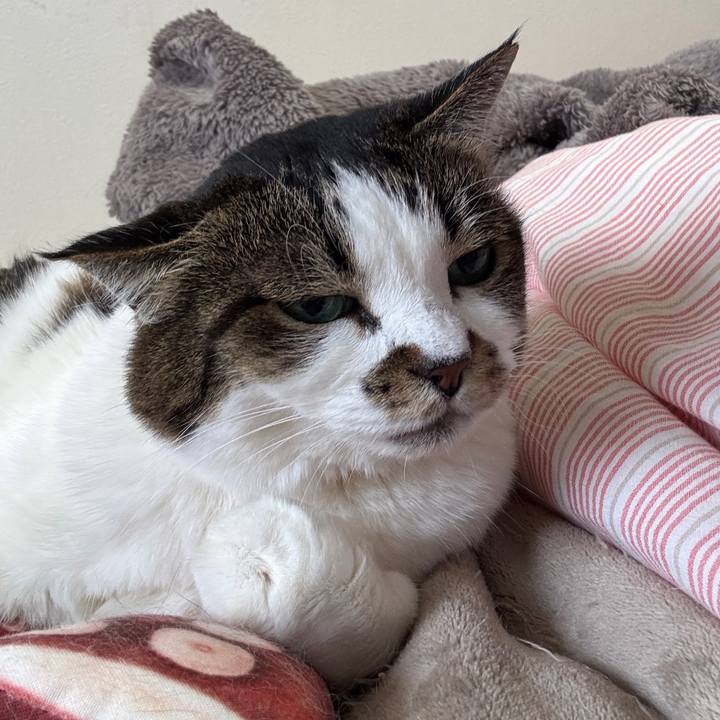 0b627f8d ed16 4803 9e81 0f652ad668ac 1772061955453