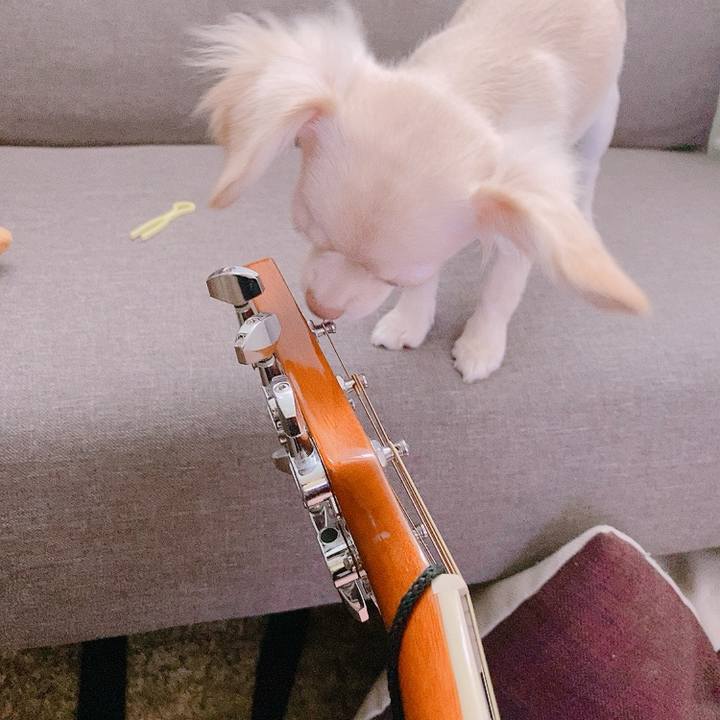 0b628c02 7c0b 4a67 8b2a 336a4302f8b5 1594620631911