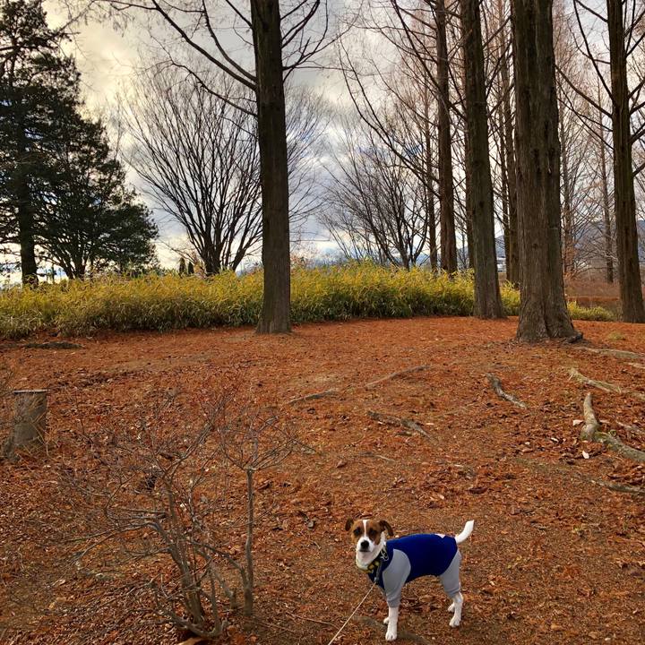 0b628ff0 a425 4c1b bde9 7f21aa106bba 1544339631339