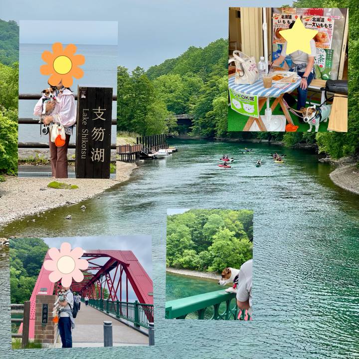 0b62cd2c 6d74 4480 91ee b3e2ad6ea044 1719717464355