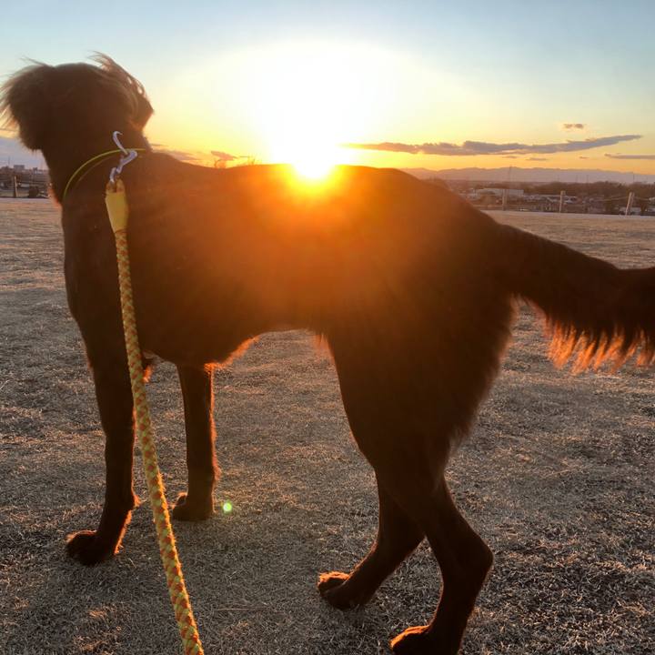 0b634de7 1f34 40cd 959d eba411bb624e 1580553127571