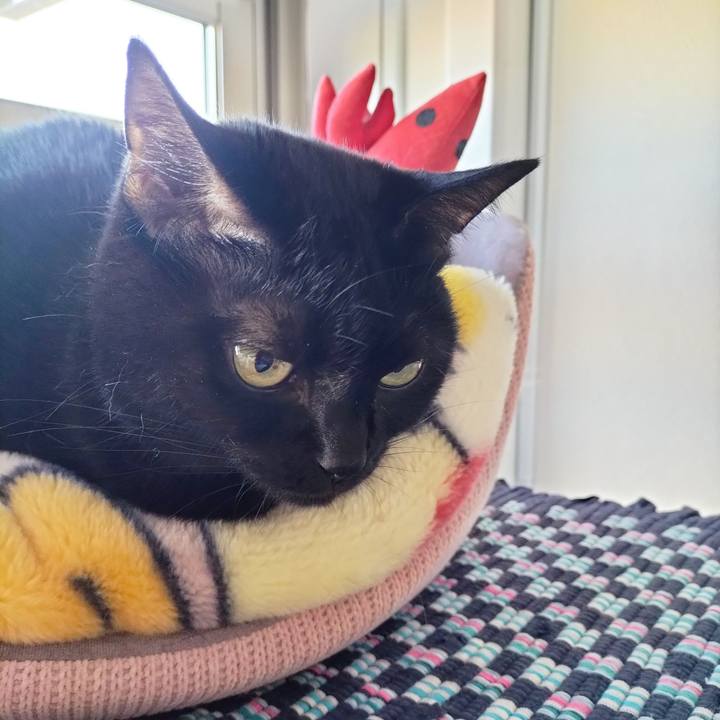 0b638b0d 70ef 4f36 b98f 77c6c387ff35 1698101962859