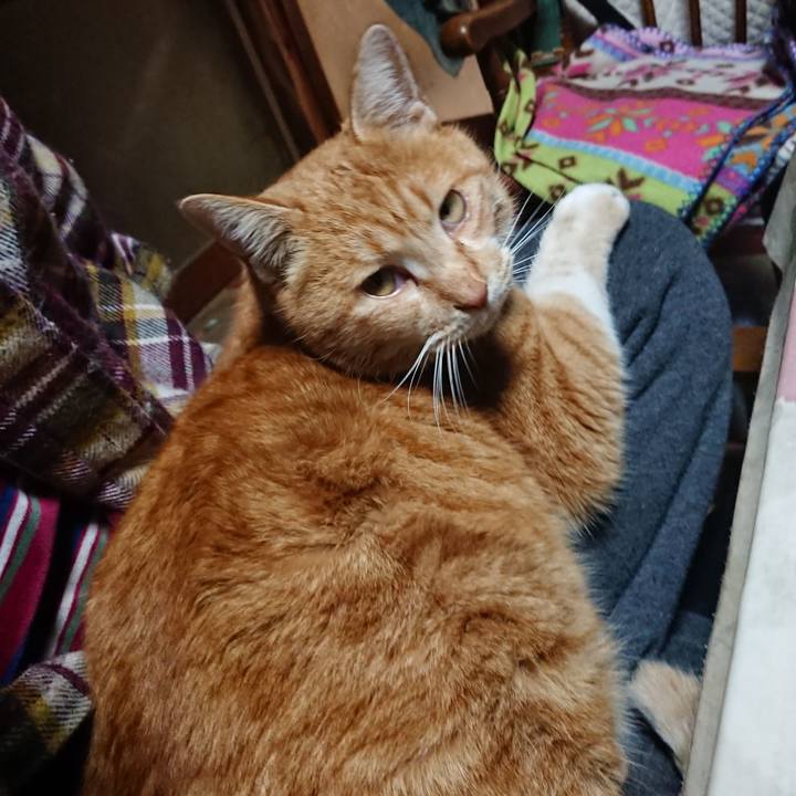 0b638b4d d13e 4dfe 843b 5afe91e90059 1579421543074