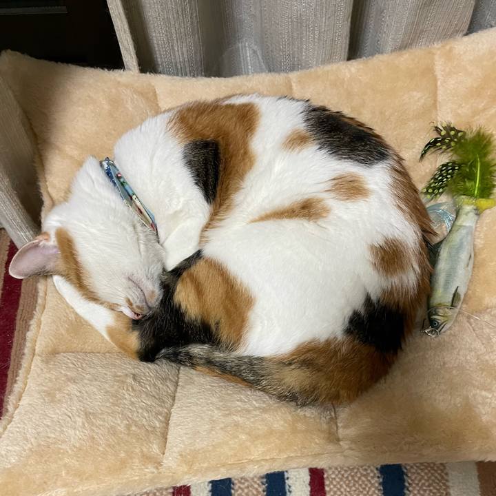 0b6391cd 26be 41b8 afe3 bac573696576 1727187465380