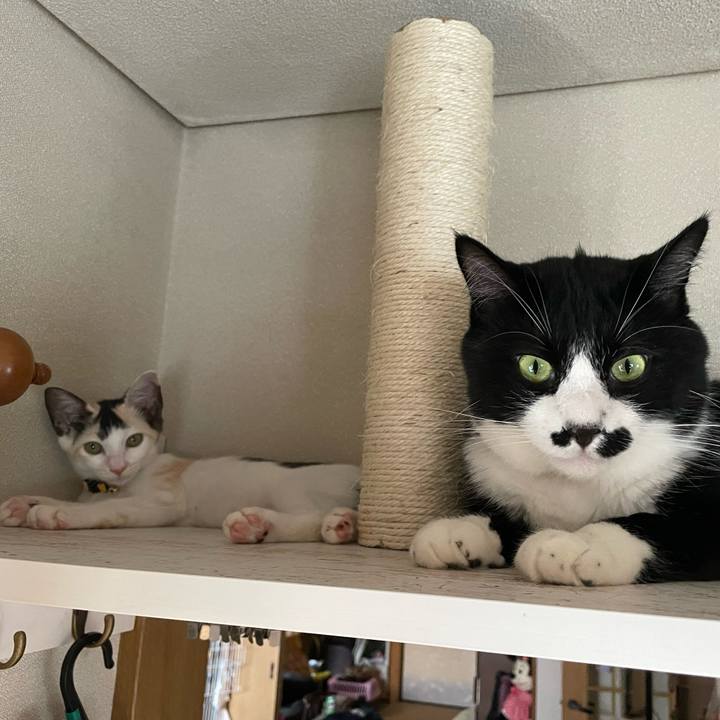 0b639c0e 8848 43bb aa11 9c404bf02832 1659580069647