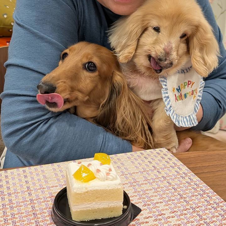 0b63b432 312e 4582 8818 53857da65e8b 1766011074096