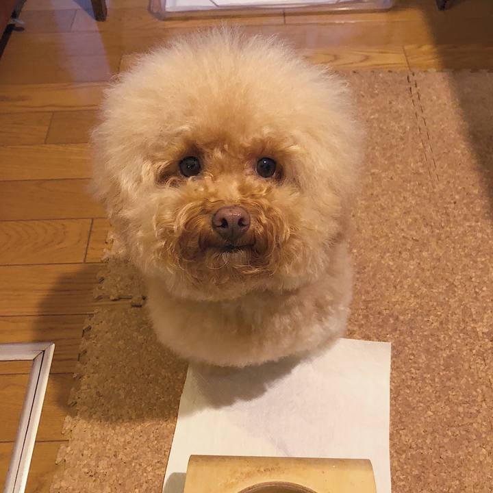 0b63c323 c483 4a0e a08f b0017d78273e 1538092851869