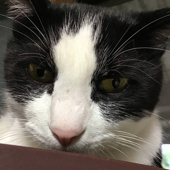 0b63c689 fb21 4d47 912e 424fa2ec50b4 1752572380642