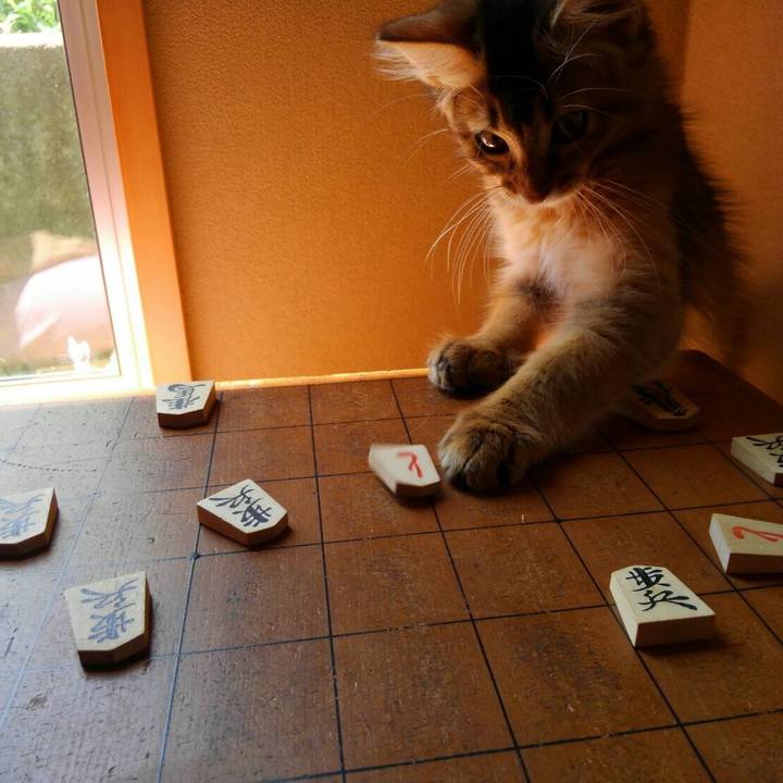 0b63c86c 5fa3 4480 bcdc 78ae57b27ac5 1566782011969