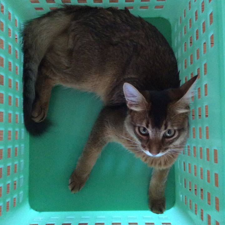 0b641f1b d7f5 41fe 9ede 8c185a921d79 1565561246536