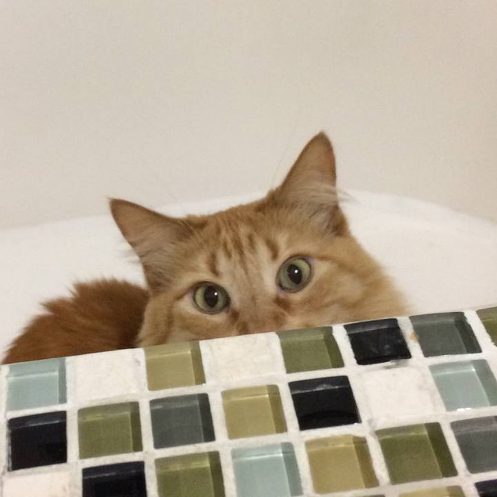 0b649ab9 e1dc 4638 91ad 3221dda8f713 1536874618849