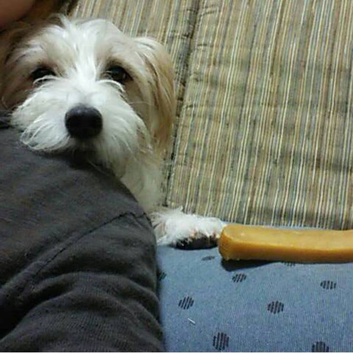 0b64fd82 1929 4e92 9b4e aac310b84719 1731242519345