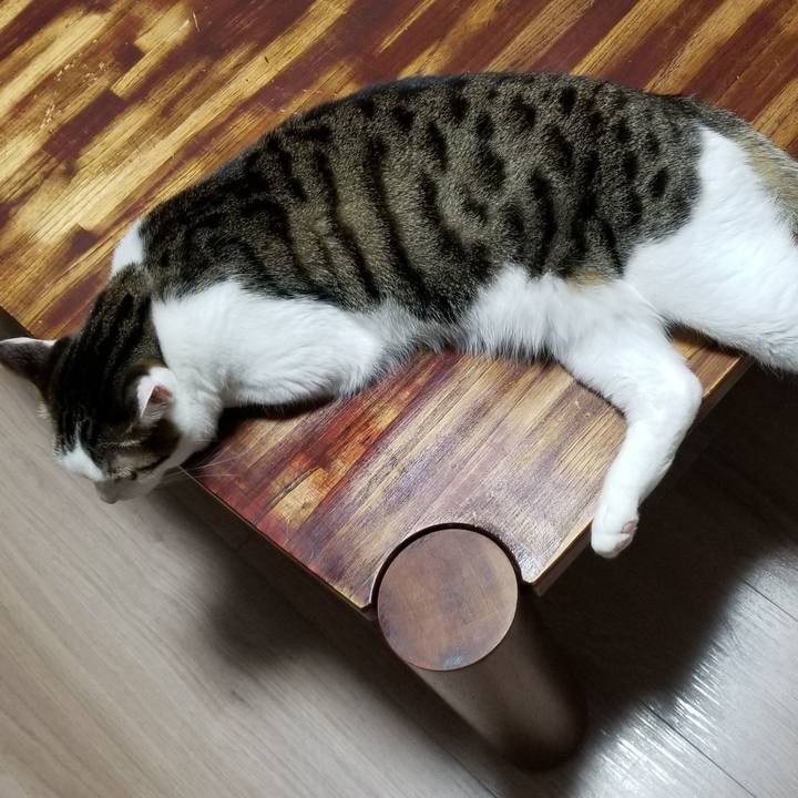 0b6525aa 6c9d 483e 9f69 9191dfddbc1c 1554859250044